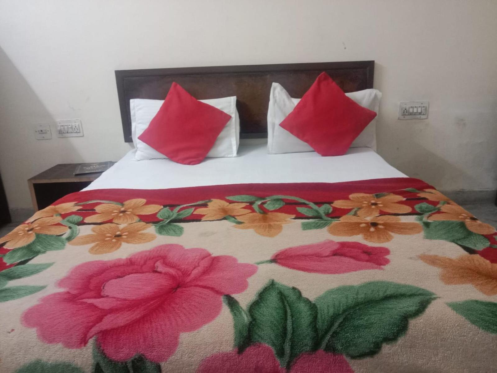 Hotel C-9 Джайпур Екстериор снимка